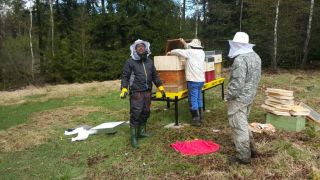 (03) Březen - Založení prvního stanoviště