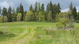 (06) Duben - Přesun prvního stanoviště na novou lokalitu