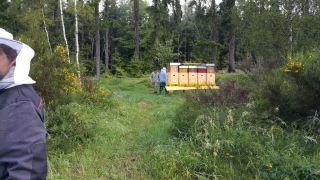 (08) Duben - Přesun prvního stanoviště na novou lokalitu