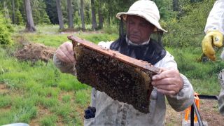 (11) Červen - Naše první medobraní