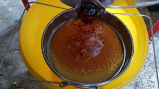 (14) Červen - Naše první medobraní