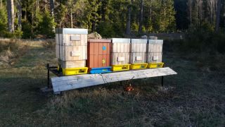 (08) Duben - 1. stanoviště před výměnou nově vyrobených nástavků