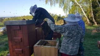 (09) Duben - Výměna nástavků na 1. stanovišti a rozšiřování úlů o 1 nástavek
