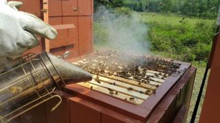 (17) Květen - První medobraní na stanovišti č. 1