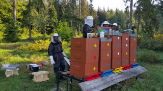 (19) Květen - První medobraní na stanovišti č. 1