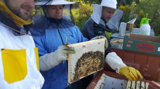 (20) Květen - První medobraní na stanovišti č. 1