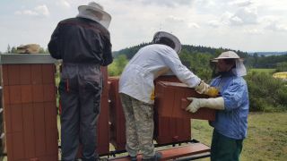 (21) Květen - První medobraní na stanovišti č. 1