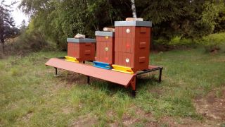 (23) Duben - Finální instalace náletu pro palpost včelích úlů na 1. stanovišti